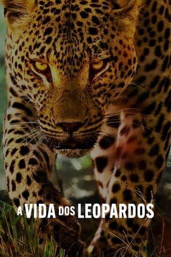 Assistir A Vida dos Leopardos online