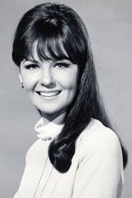 Assistir Filmes de Shelley Fabares