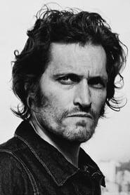 Assistir Filmes de Vincent Gallo