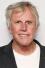 Filmes de Gary Busey online