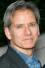 Filmes de Campbell Scott online