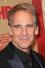 Filmes de Scott Bakula online