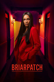 Assistir Briarpatch online