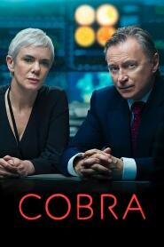 Assistir COBRA online