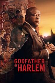 Assistir Godfather of Harlem online