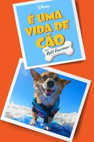 Assistir É Uma Vida de Cão, com Bill Farmer online