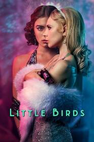 Assistir Little Birds online