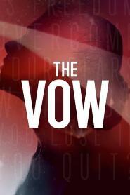 Assistir The Vow online