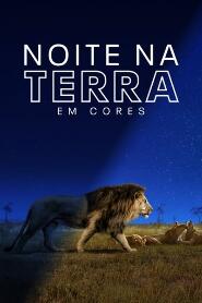 Assistir Noite na Terra em Cores online