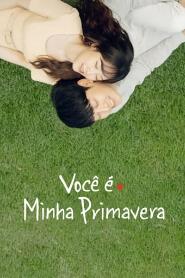 Assistir Você é Minha Primavera online