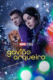 Assistir Gavião Arqueiro online