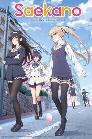 Assistir Saenai Heroine No Sodatekata online