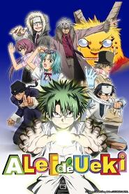 Assistir The Law Of Ueki online