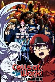 Assistir Hataraku Saibou Black online