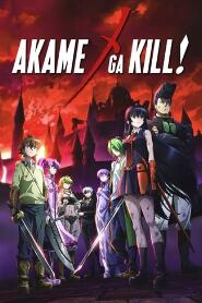 Assistir Akame ga Kill online