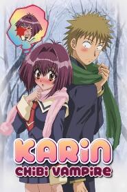 Assistir Karin online