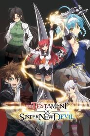 Assistir Shinmai Maou no Testament online