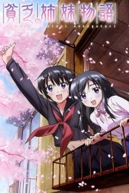 Assistir Binbou Shimai Monogatari online