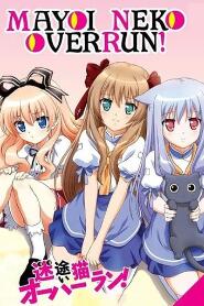 Assistir Mayoi Neko Overrun online