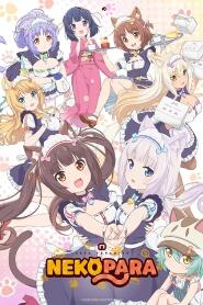 Assistir Nekopara online