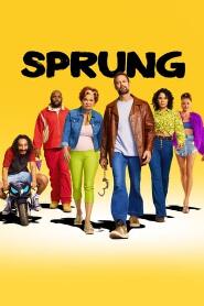 Assistir Sprung online