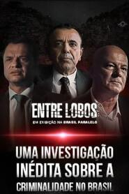 Assistir Entre Lobos online