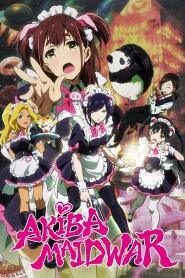 Assistir Akiba Maid Sensou online