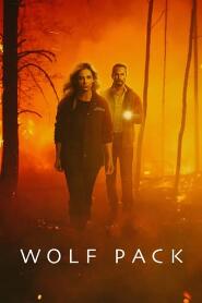 Assistir Wolf Pack online