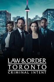 Assistir Law & Order Toronto: Criminal Intent online