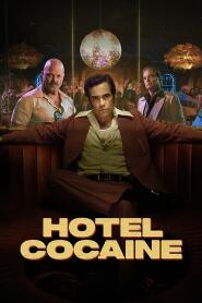 Assistir Hotel Cocaine online