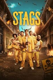 Assistir Stags online