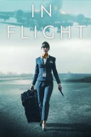 Assistir In Flight online
