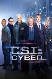 Assistir C.S.I.: Cyber online