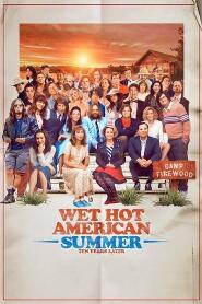 Assistir Wet Hot American Summer: Ten Years Later online