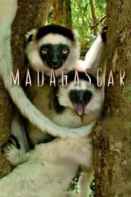 Assistir Madagascar online