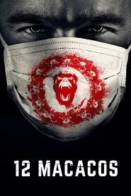 Assistir Os 12 Macacos online