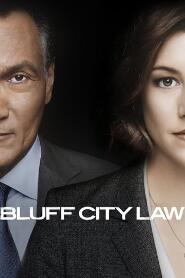 Assistir Bluff City Law online