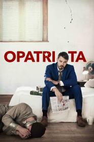 Assistir O Patriota online