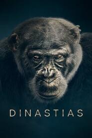 Assistir Dinastias online