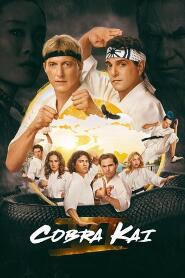 Assistir Cobra Kai online