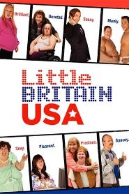 Assistir Little Britain USA online