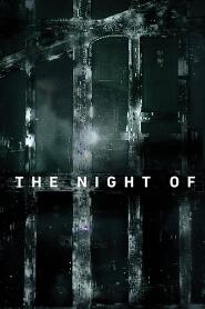 Assistir The Night Of online