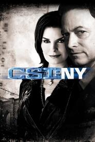 Assistir CSI: Nova York online