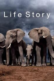 Assistir Life Story online