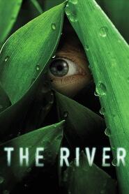 Assistir The River online