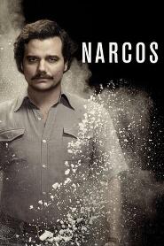 Assistir Narcos online