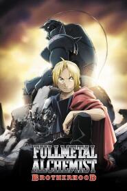 Assistir Fullmetal Alchemist: Brotherhood online