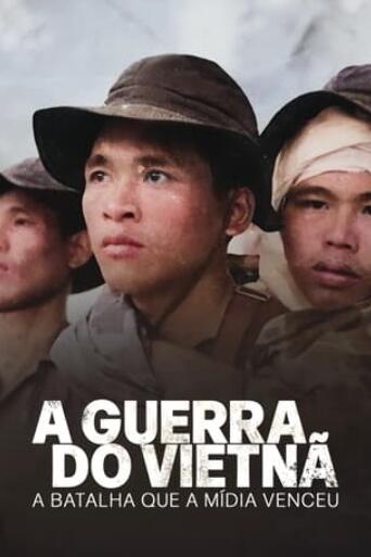 Assistir A Guerra do Vietnam online